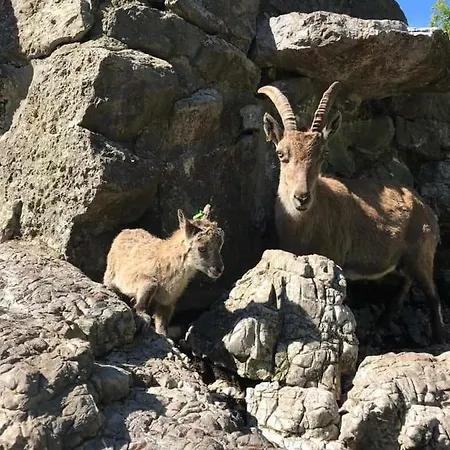 Angie's Lauterbrunnen