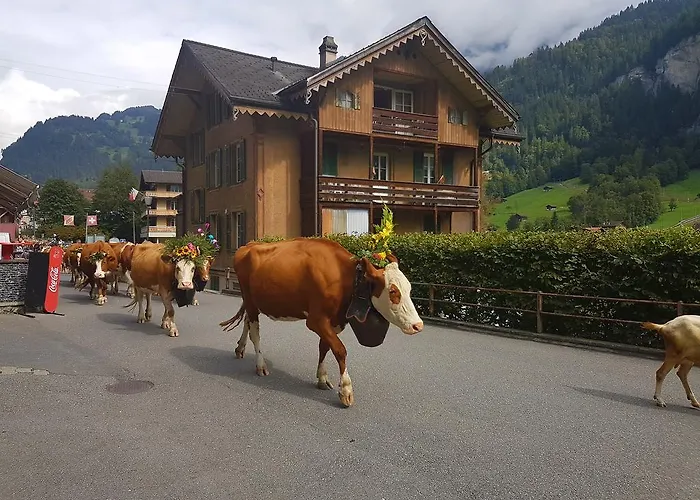 Lägenhet Angie's Lauterbrunnen