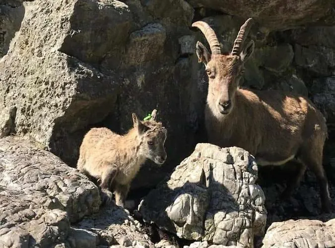 Angie's Lauterbrunnen