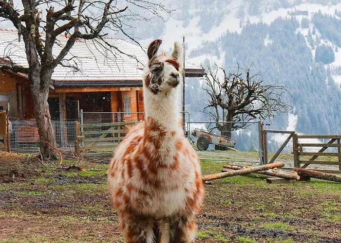 Angie's * Lauterbrunnen