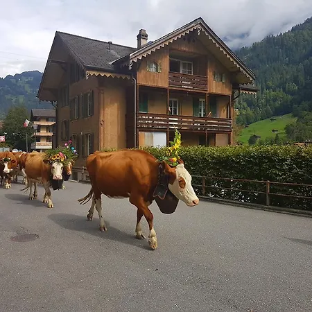Appartement Angie's Lauterbrunnen