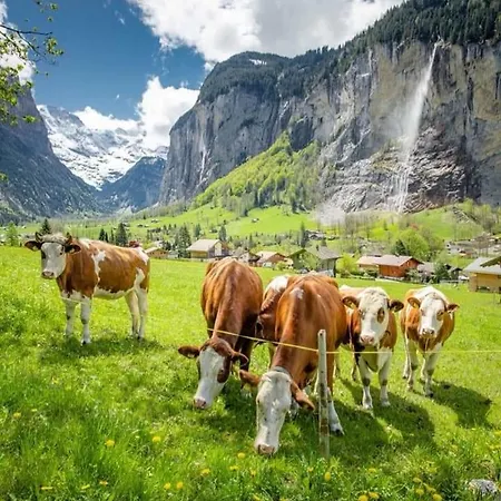 Apartament Angie's *