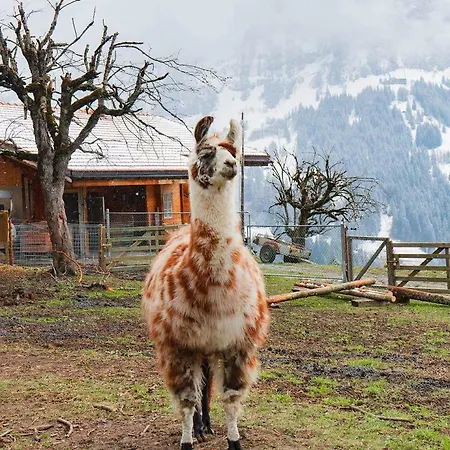 Angie's * Lauterbrunnen